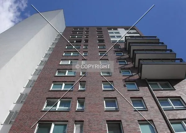 Look up view from the northern side