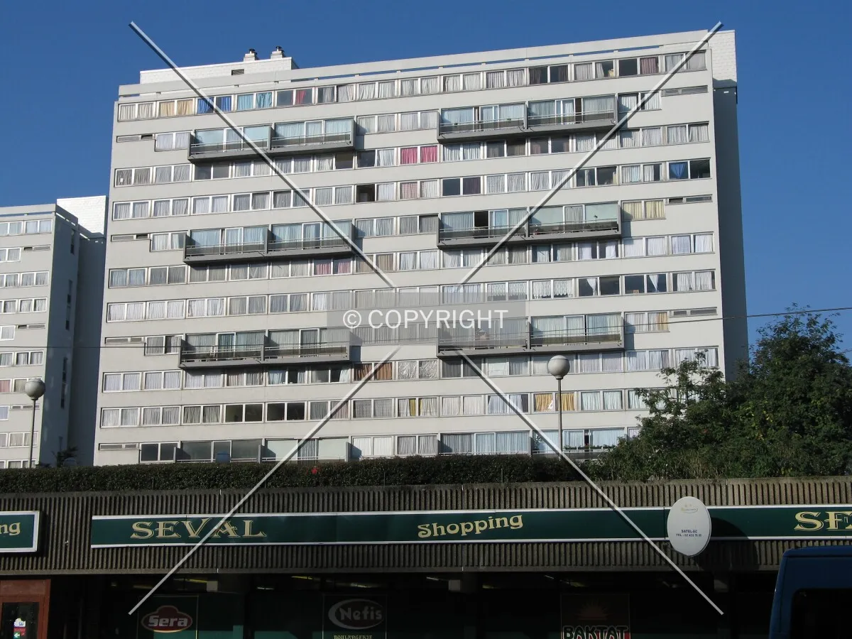 View from the east