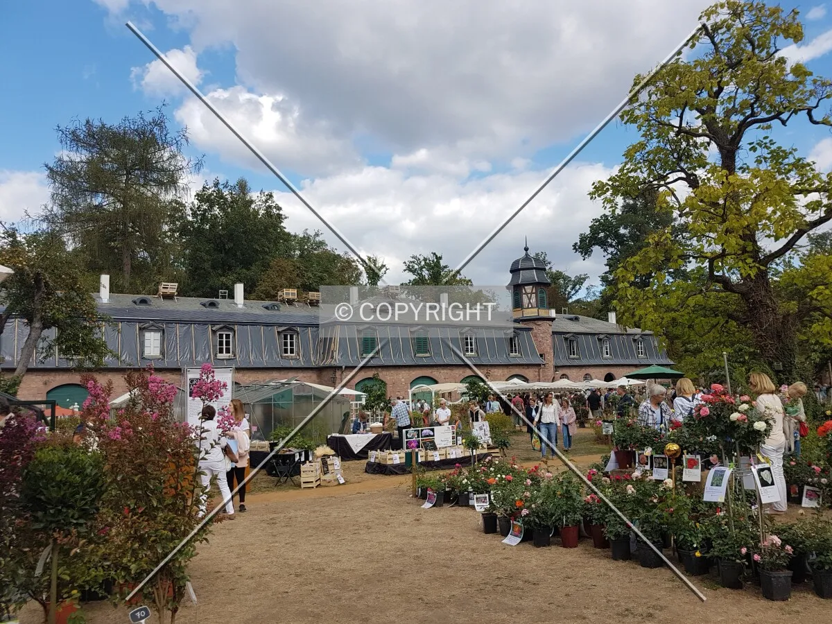 Schloß Wolfsgarten in 2018