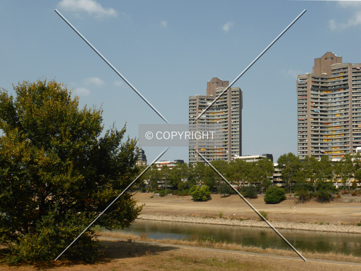Photo 092-915-252
