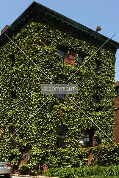 Photo 929-224-139