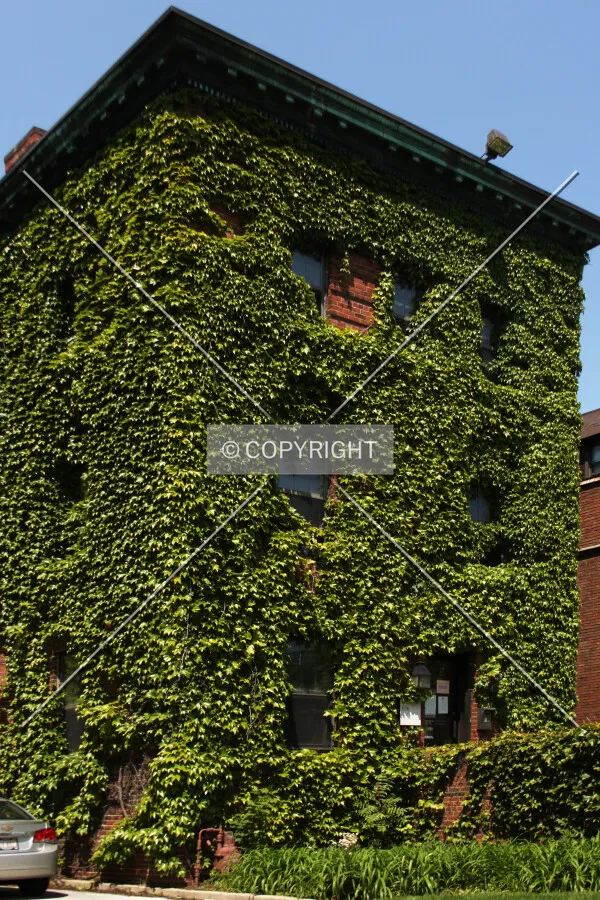 Photo 929-224-139