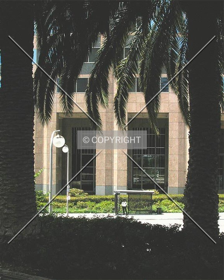 A bus shelter and palms on the bulding's south side