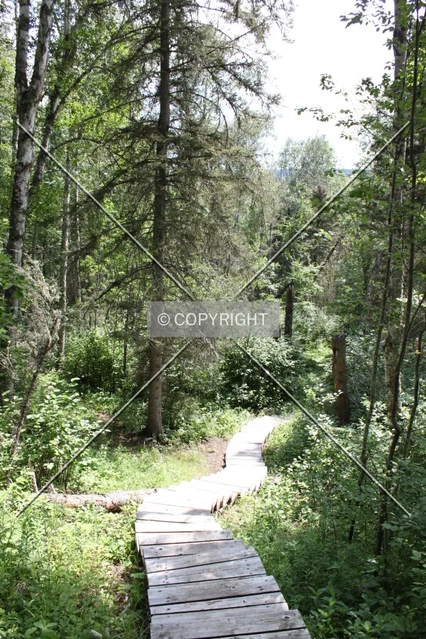 Narrows Peninsula Trail