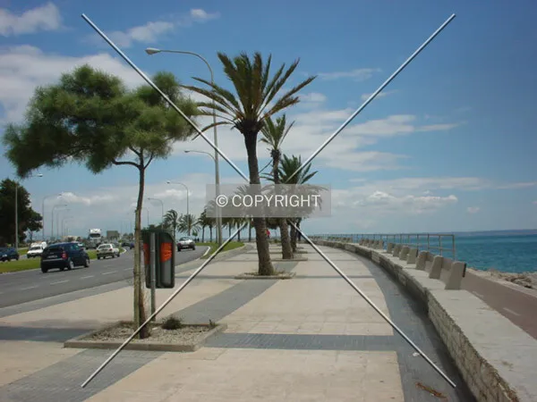 Nearby the port