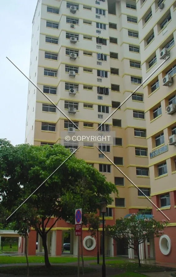 View from Block 768