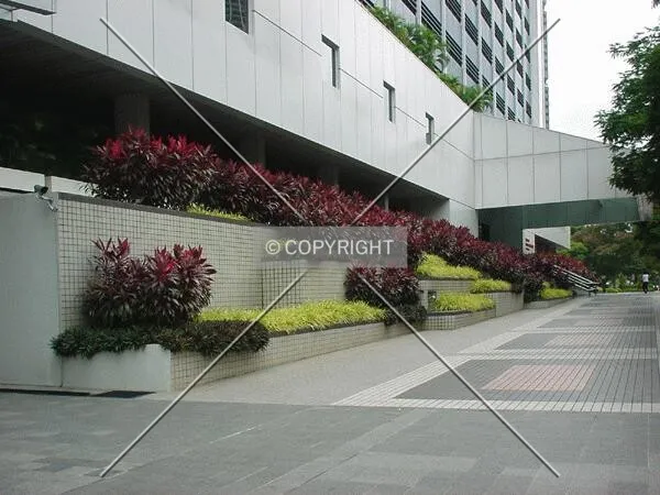 In front of the building
