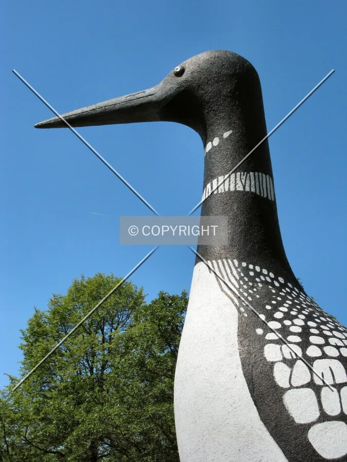 Head detail from the east