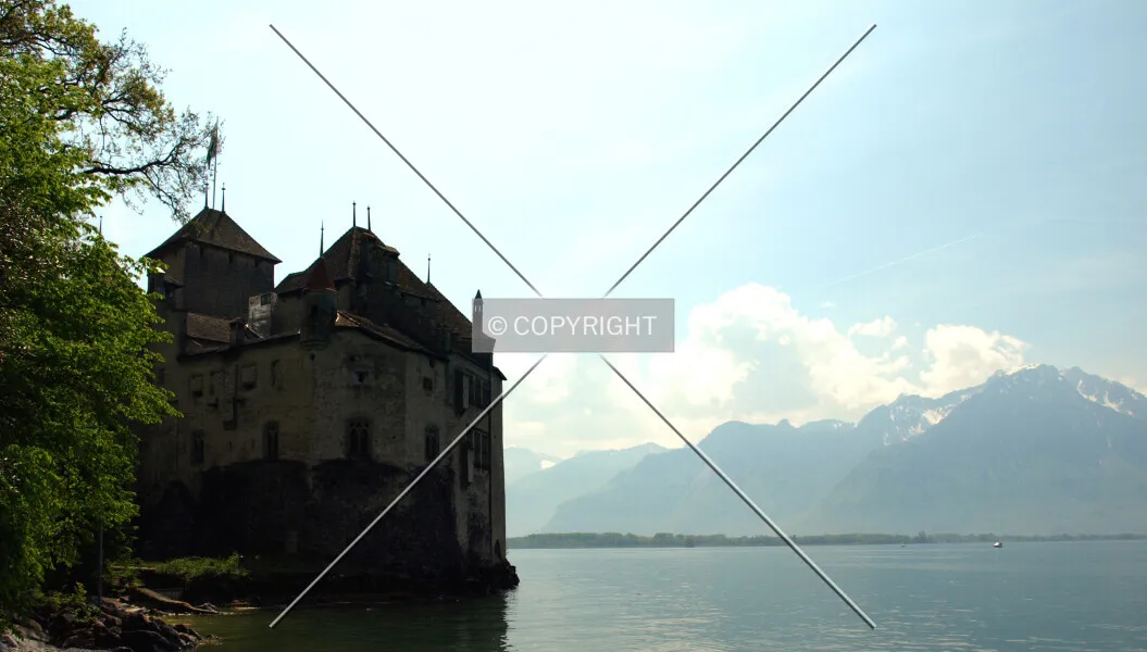 Photo 009-325-741
