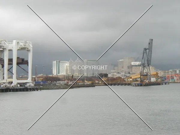 Skyline from the Port