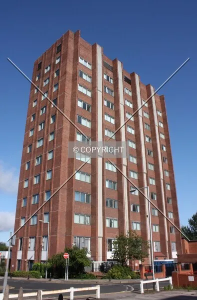 Photo 009-329-699