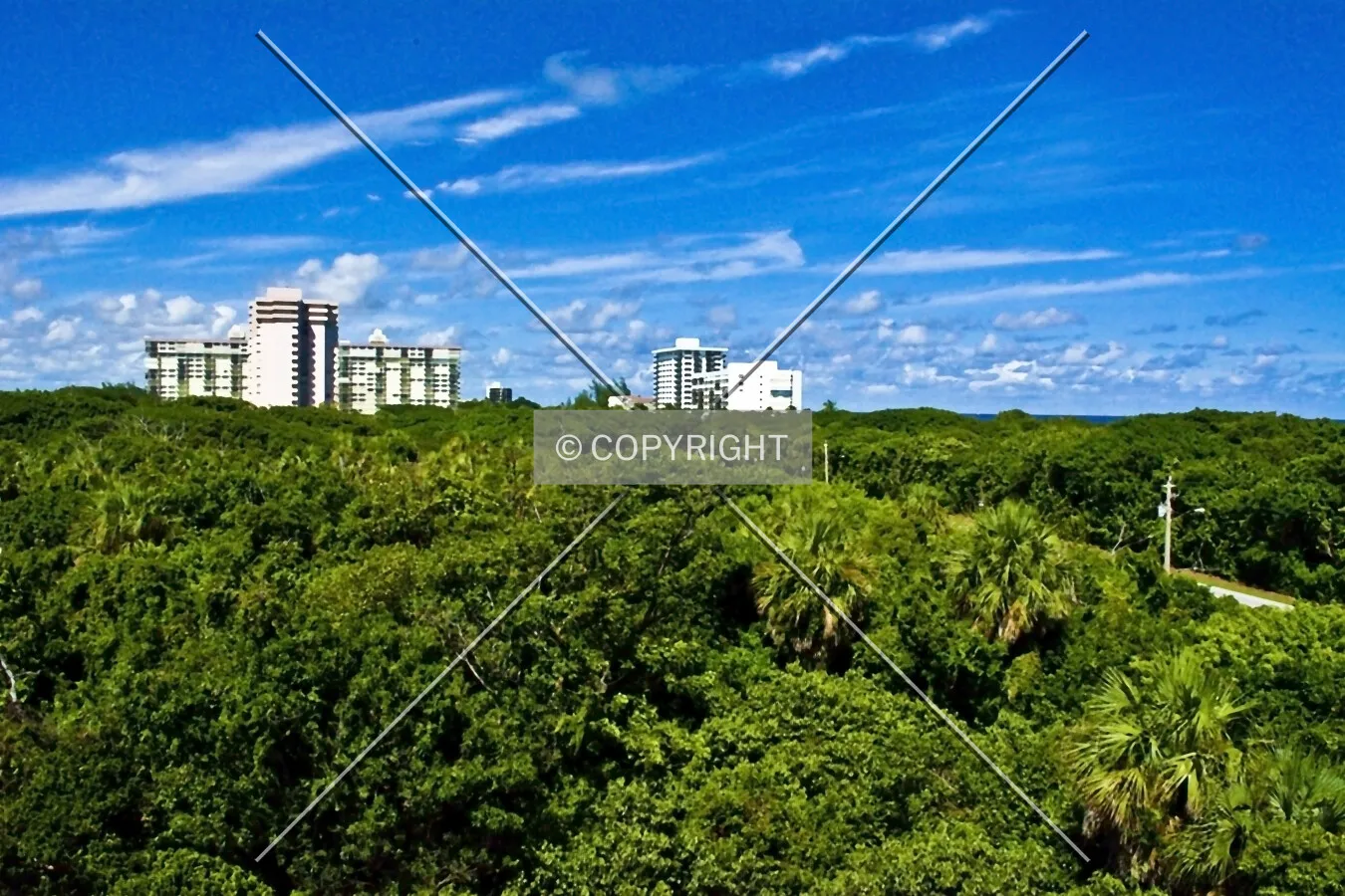 Gumbo Limbo Environmental Complex, Boca Raton, Florida, U.S.A.