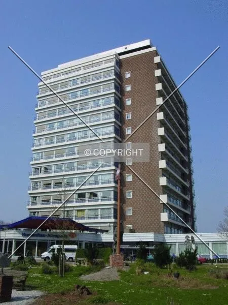 View from garden