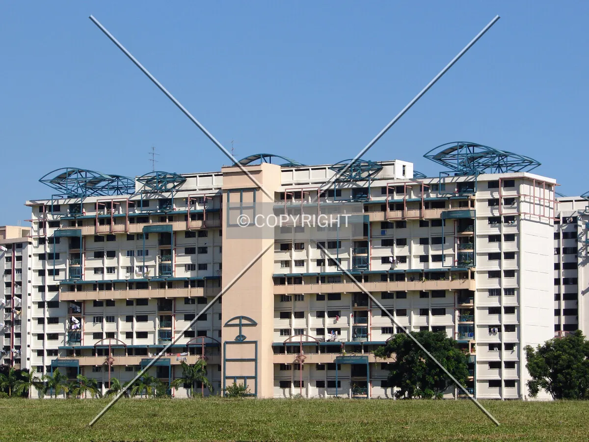 View from the south