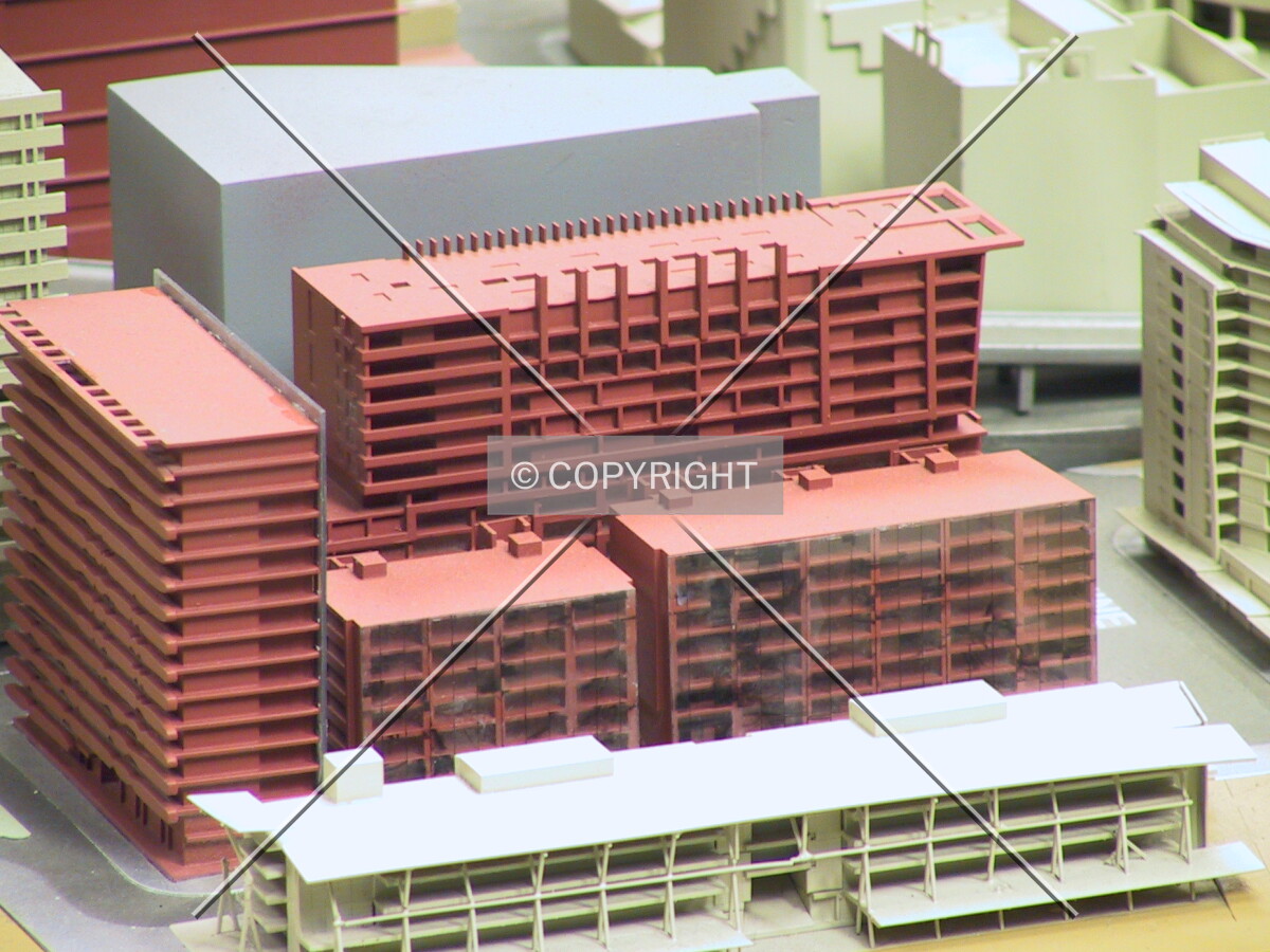 Model of the previous proposal