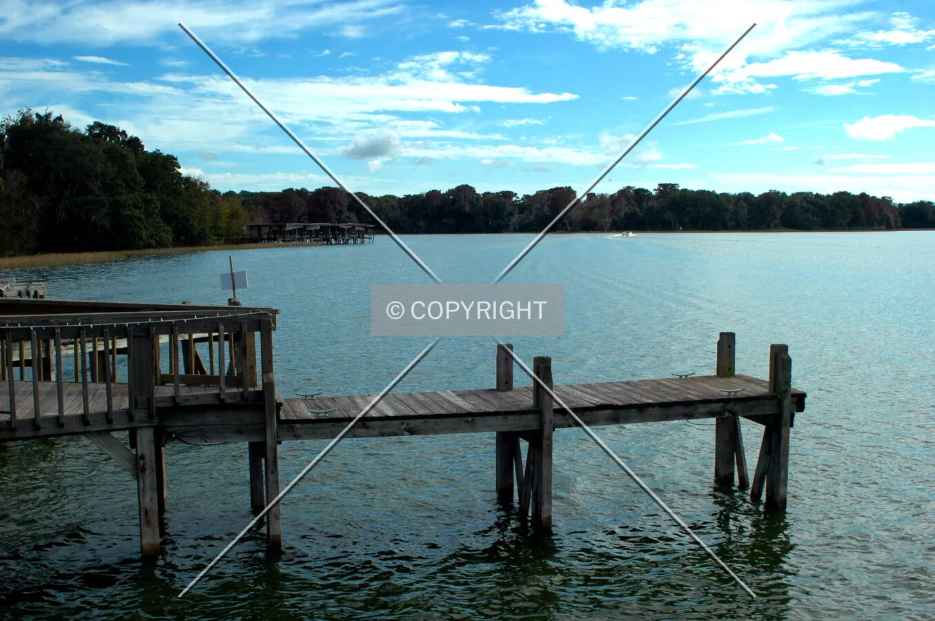 Looking south across Lake Dora