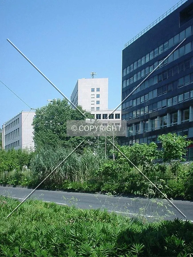 IHK building (center) as seen from nearby street