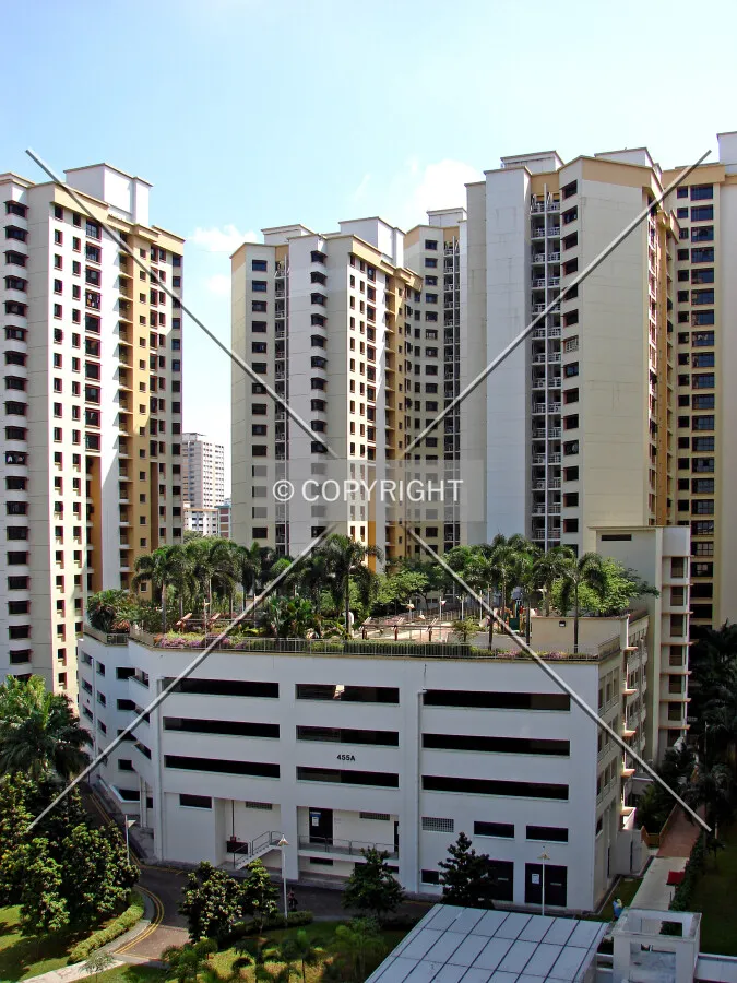 View from the west