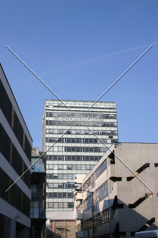 Rising above a south London street