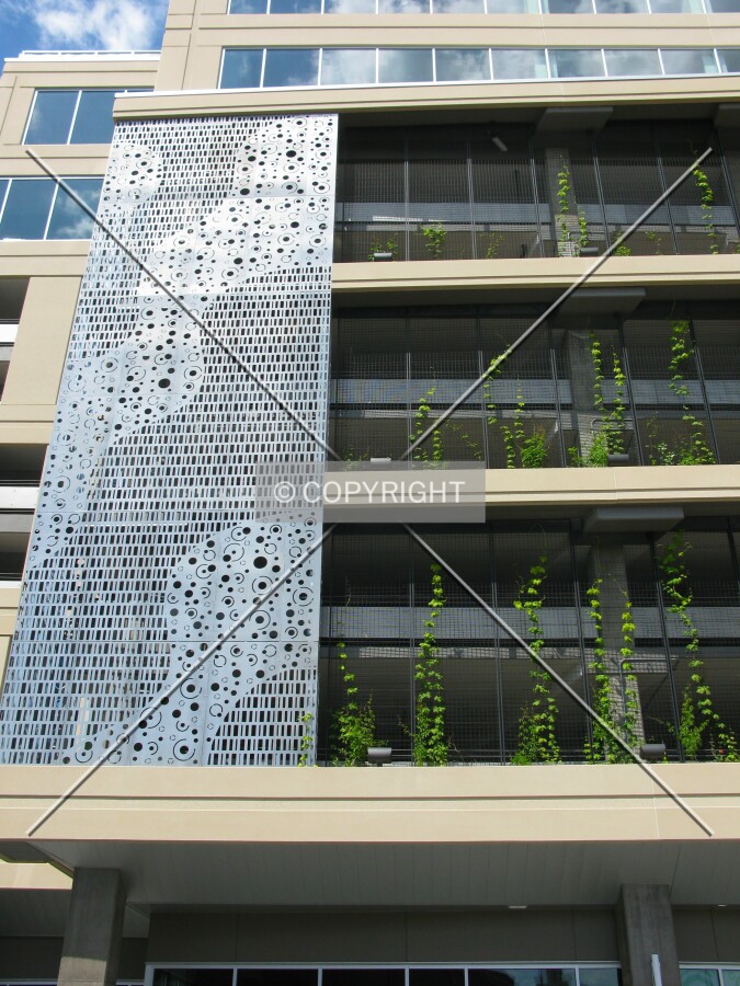 Looking up the punched metal facade and future green wall