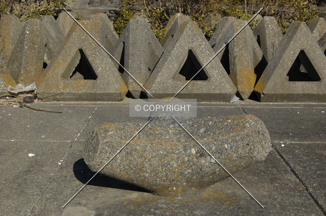 Photo 936-174-847