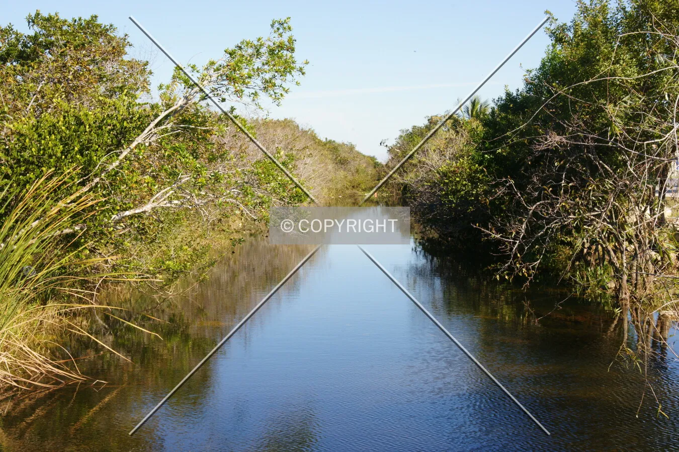 Photo 936-213-670