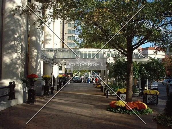 View of the entrance canopy from Pennsylvania Avenue