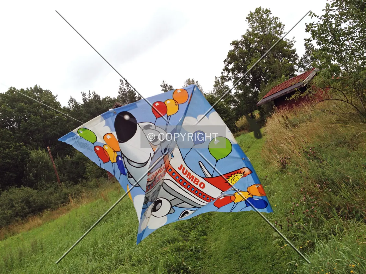 A fun kite for children