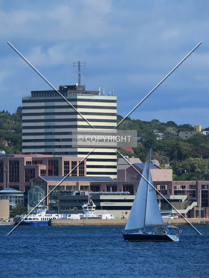 View to the north across the harbour
