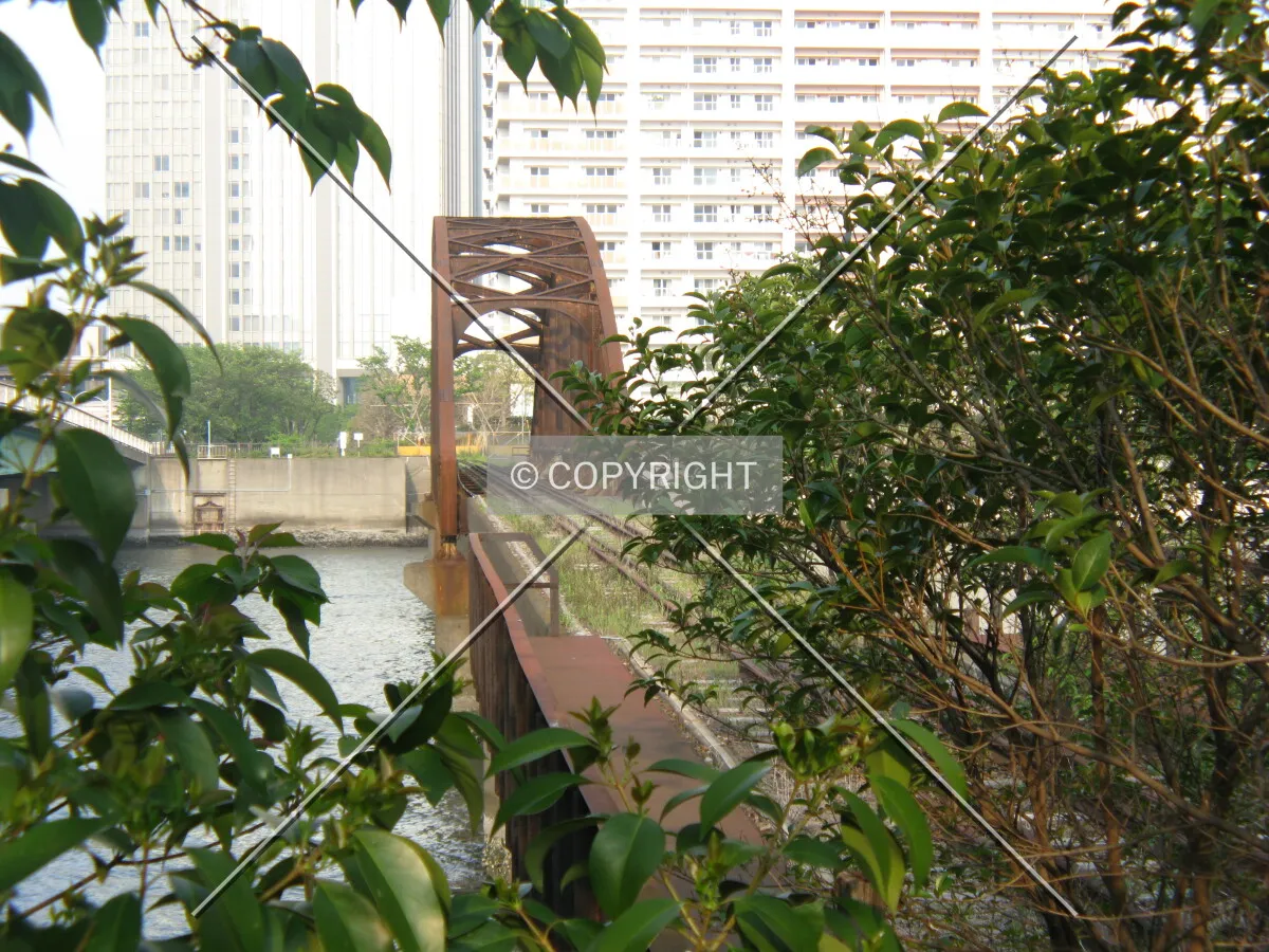 Photo 937-349-123