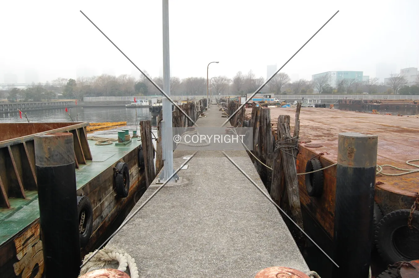 Photo 937-430-654