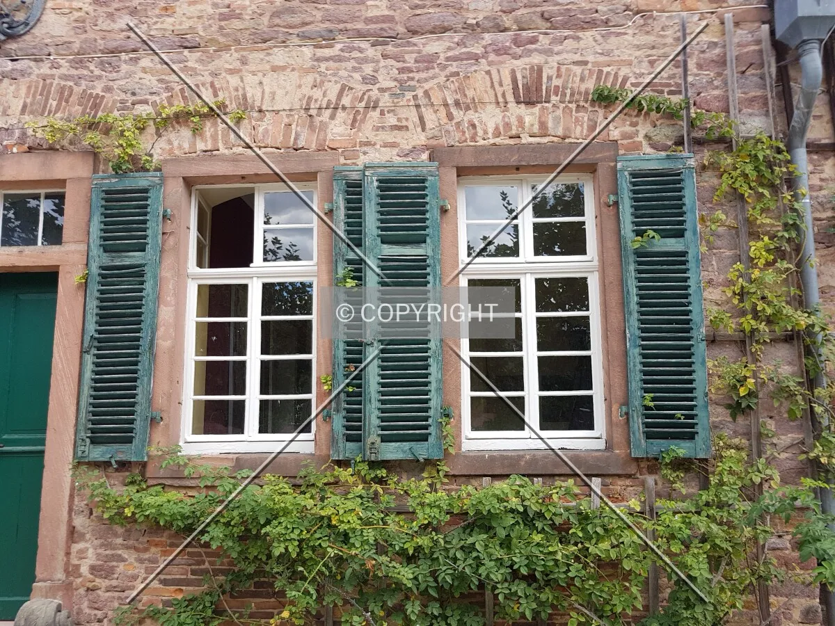 Schloß Wolfsgarten in 2018