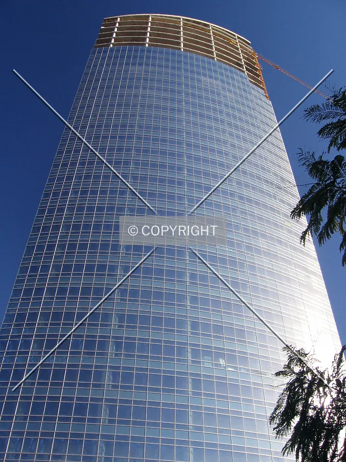 Looking up from the northeast
