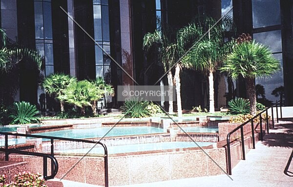 Landscaped plaza with palm trees and pond on the East side of the building