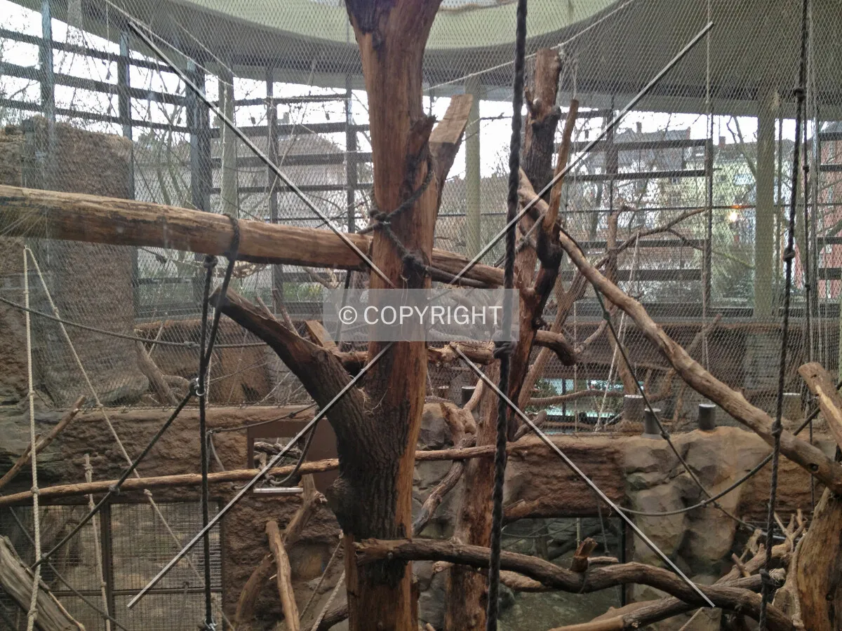 A monkey house