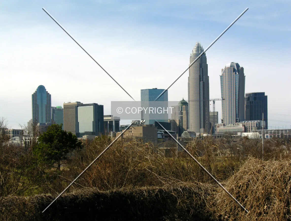 Looking west from Jackson Avenue