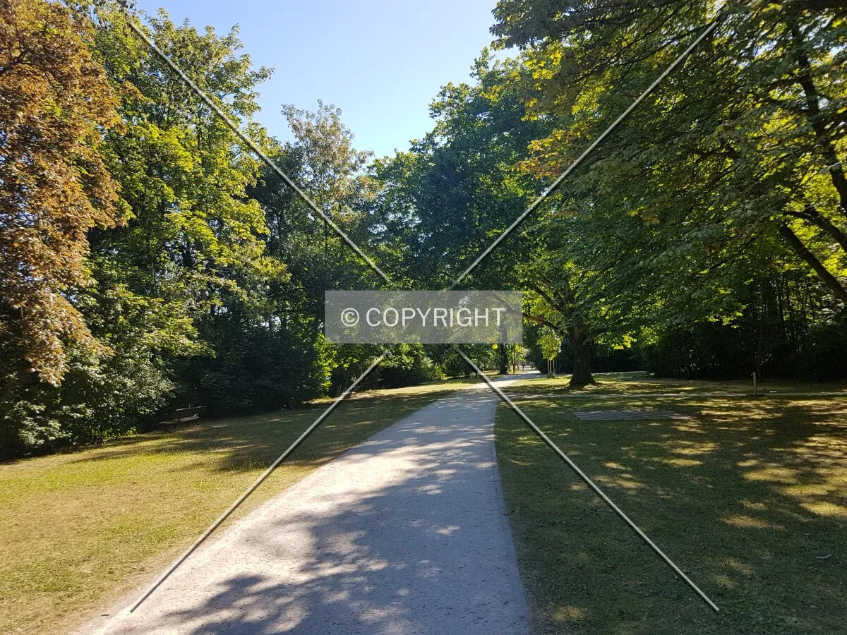 Photo 093-977-465
