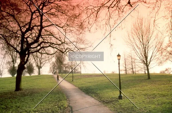 Primrose Hill at dawn