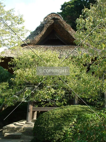 Photo 009-408-482