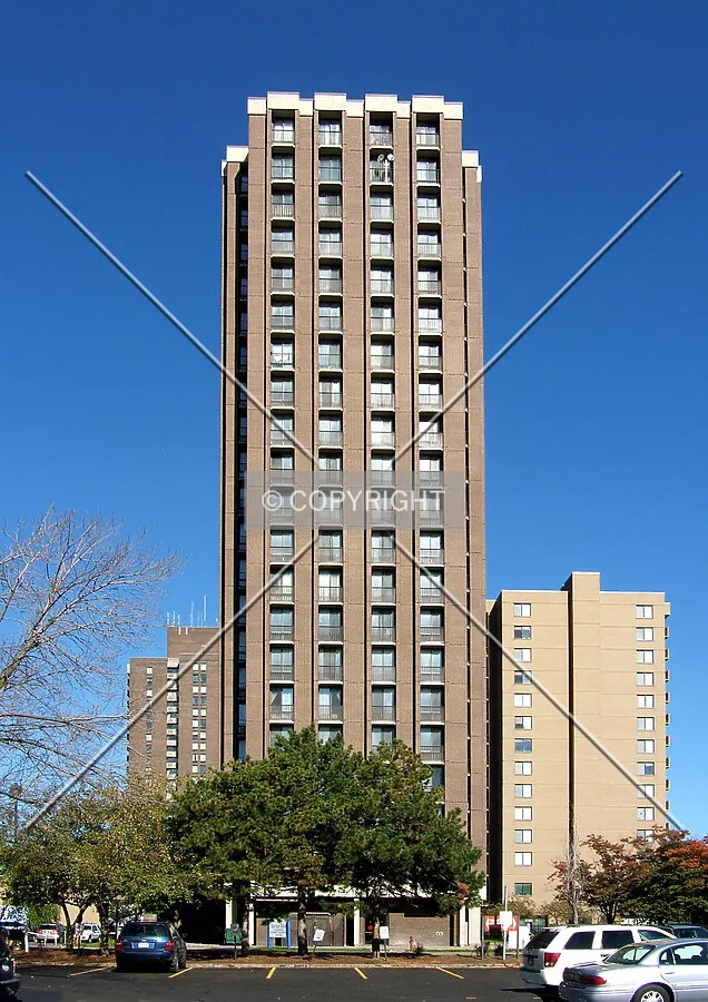 View from the south