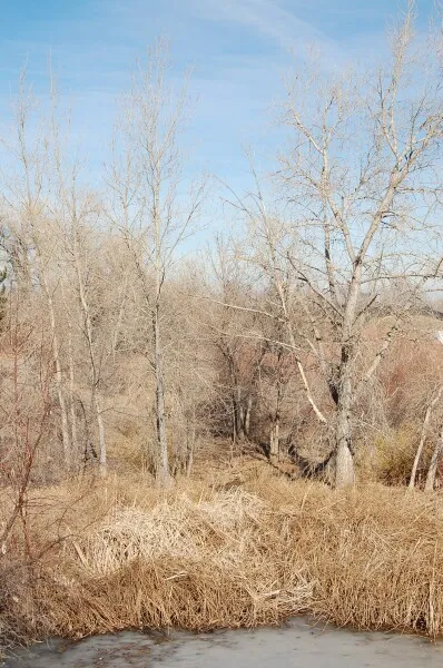 Photo 941-901-843