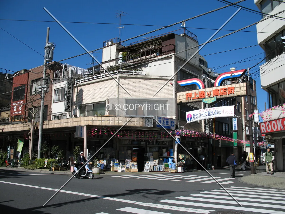 Photo 094-230-119