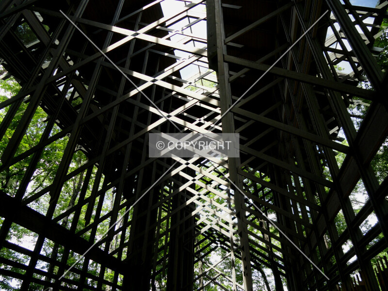 Photo 094-236-458