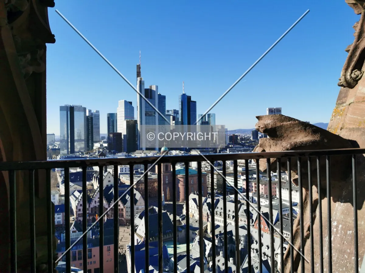 Photo 094-262-355