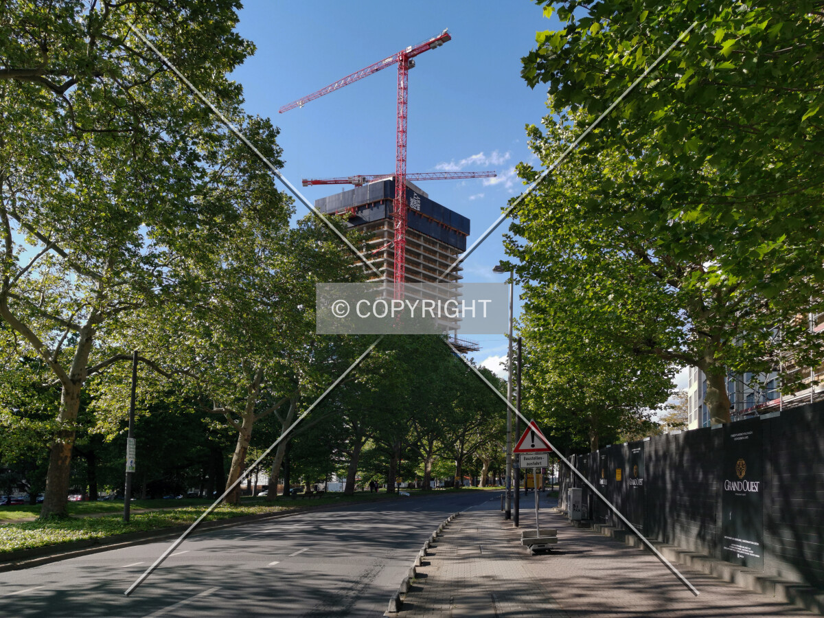 Photo 094-290-756