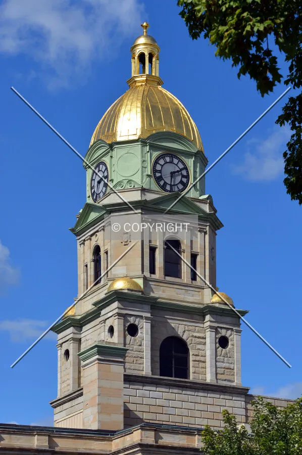 View from the southwest