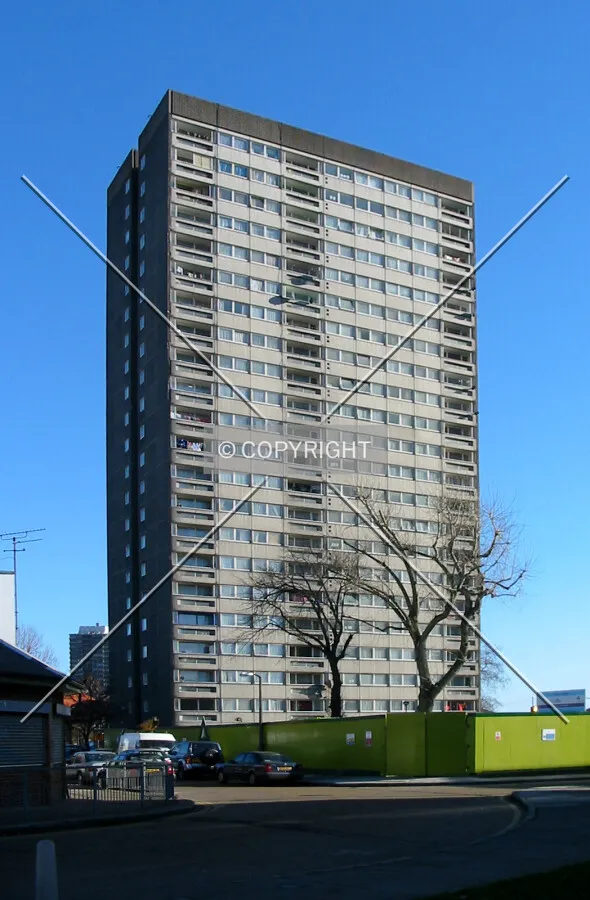 View from Wellington Way