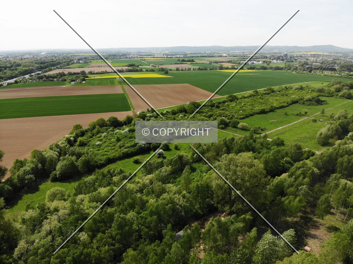 Landscape around Eschborn, Germany