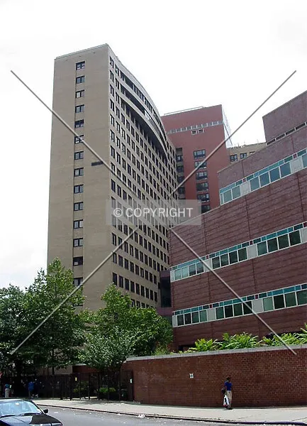 Photo 094-378-797