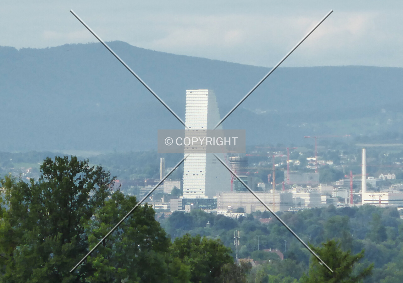 The white Roche Tower is rising above Basel